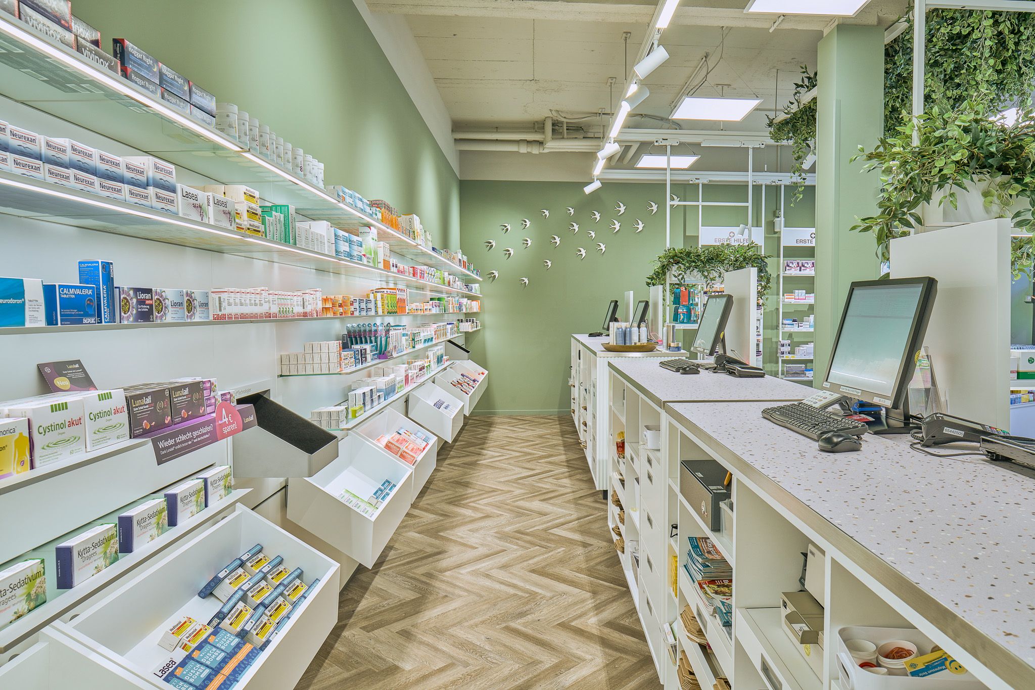 Apothekentheke mit Kassensystem und Regalen voller Arzneimittel vor gr&uuml;n gestrichener Wand mit dekorativen Elementen und Pflanzen.