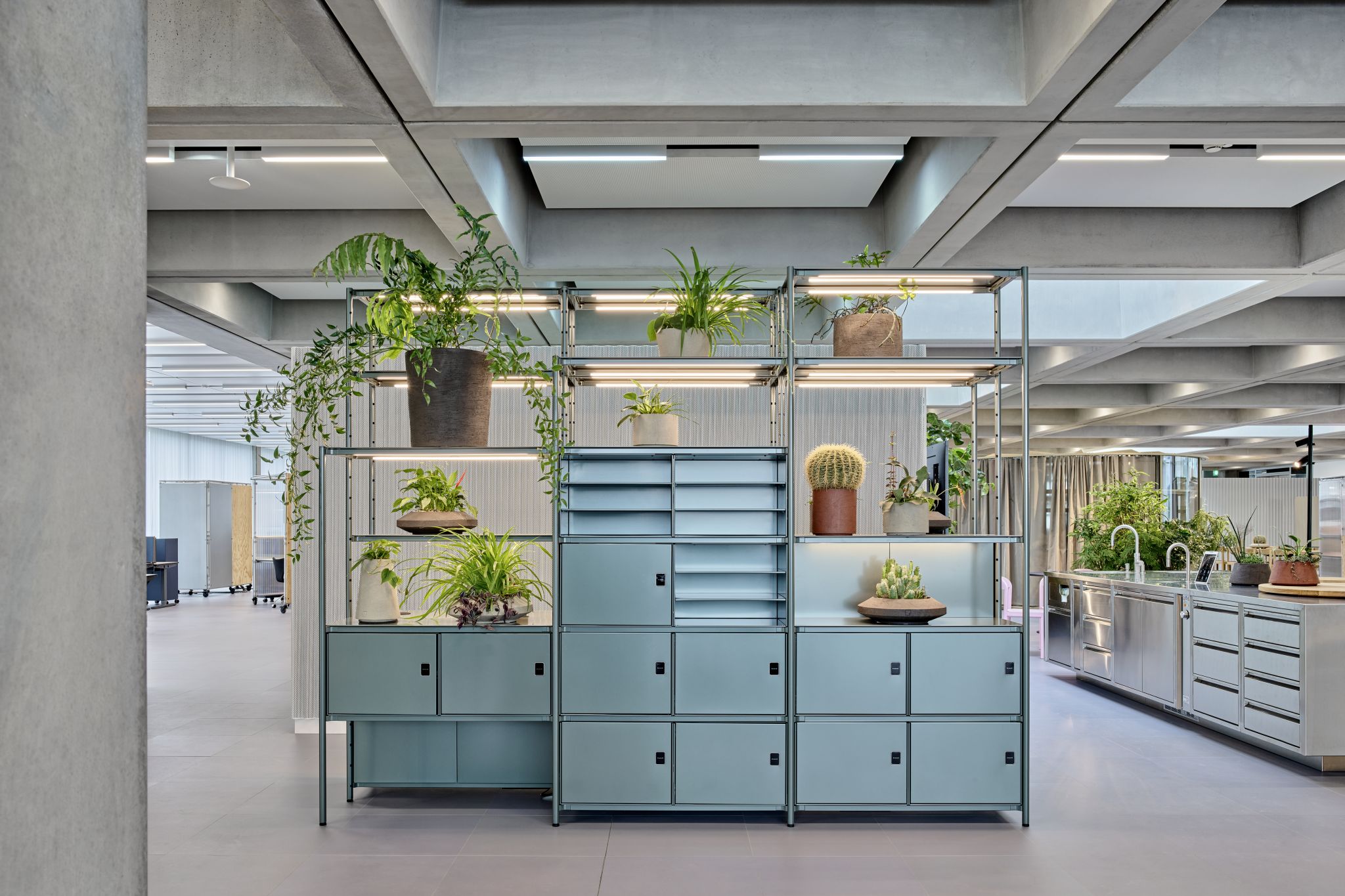 Blaues Regalsystem mit Pflanzen in einem modernen B&uuml;ro mit sichtbarer Betondecke und offenem Raum.