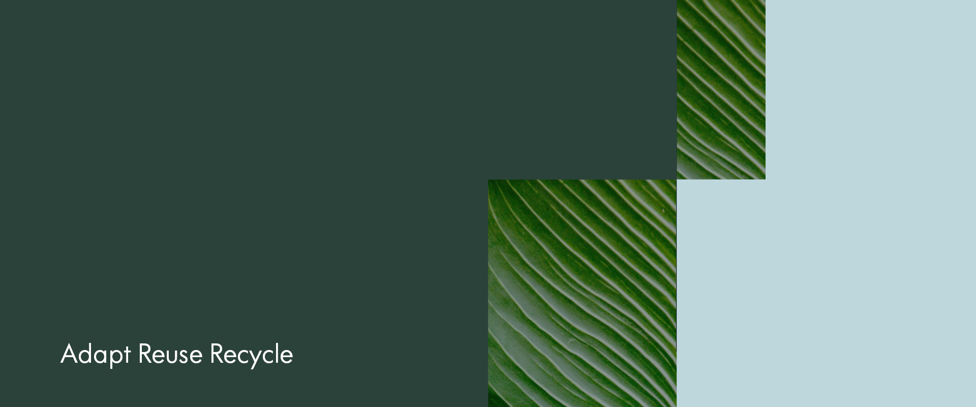 Gr&uuml;nes Blatt mit parallelen Adern, teilweise von dunkelgr&uuml;nem Rechteck &uuml;berlagert, Text 'Adapt Reuse Recycle' in Wei&szlig; unten links.
