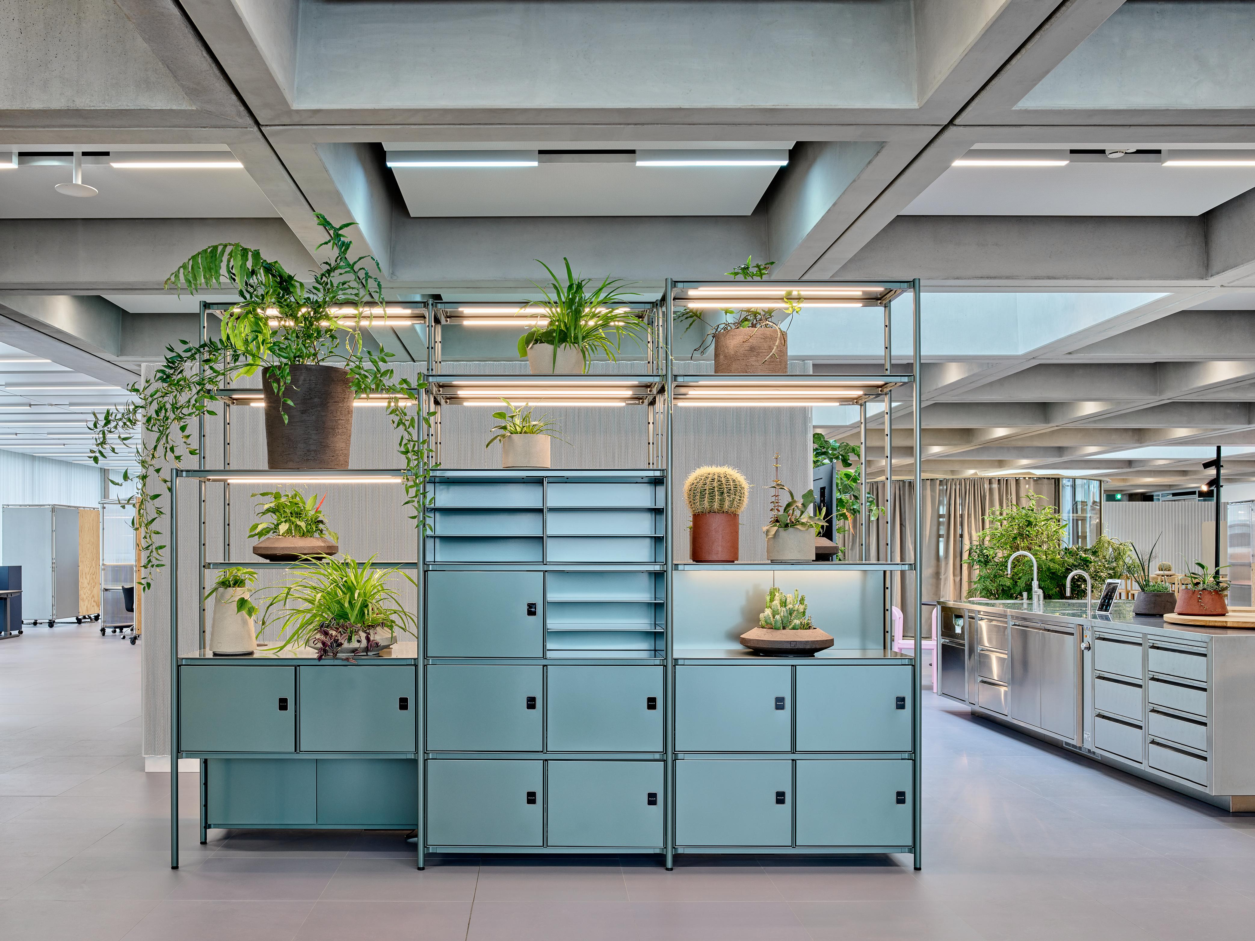 Blaues Regal mit mehreren F&auml;chern und gr&uuml;nen Pflanzen in einem modernen B&uuml;ro mit sichtbarer Betondecke.