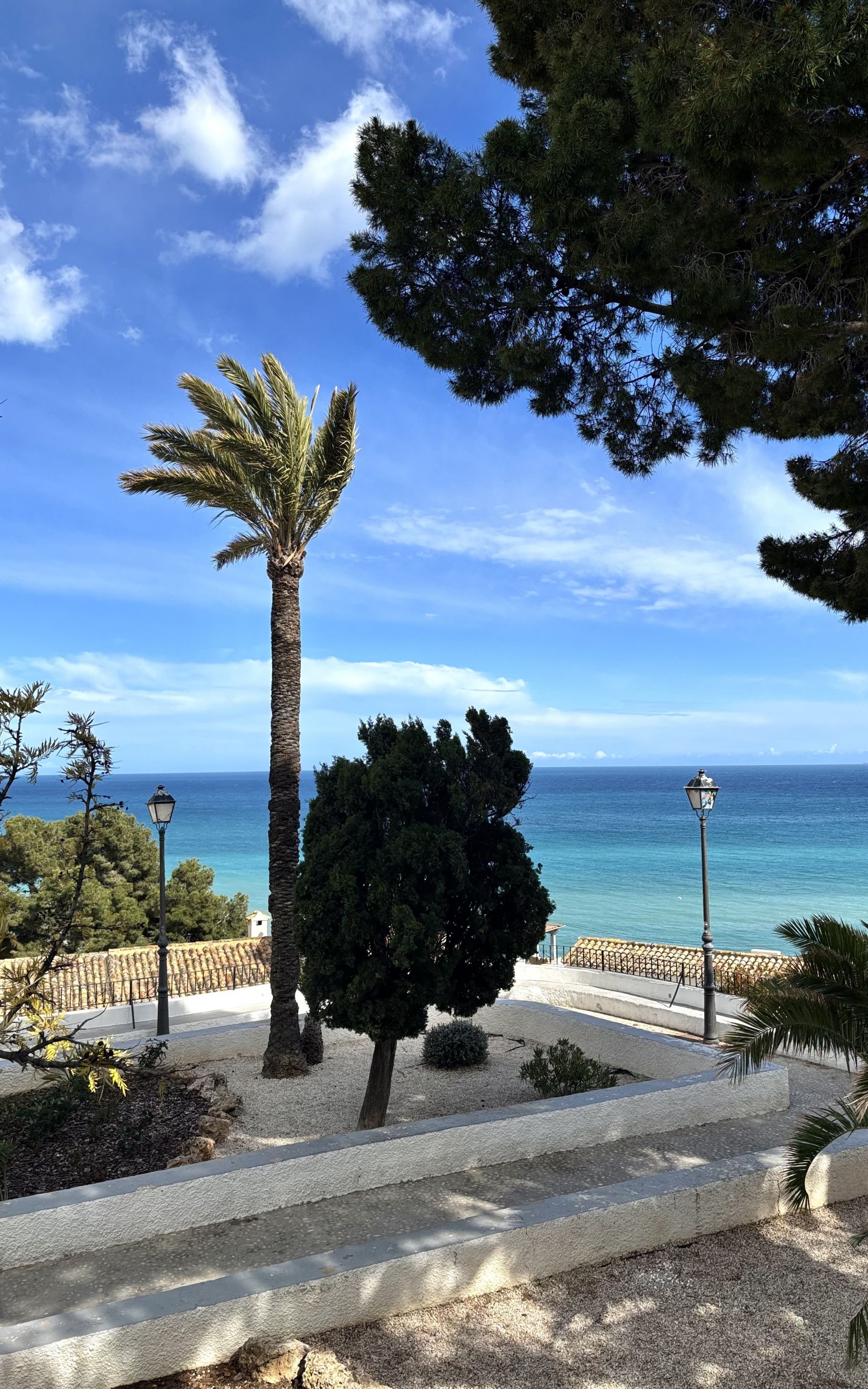 Hohe Palme und weitere B&auml;ume vor blauem Meer und bew&ouml;lktem Himmel, mit Laternen und Steinmauer im Vordergrund.
