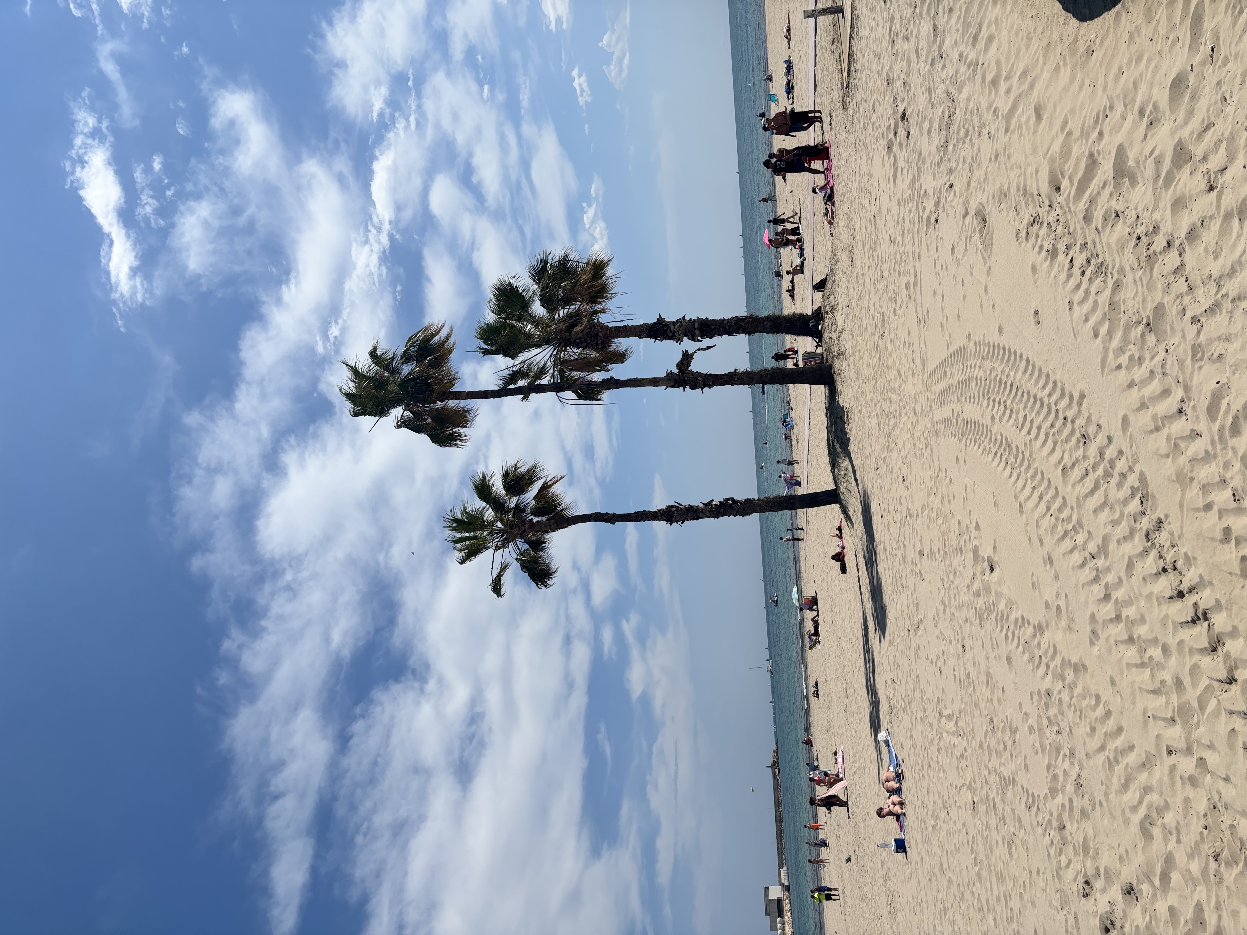 Drei hohe Palmen auf hellem Sandstrand mit mehreren Menschen am Meer unter blauem Himmel mit Wolken.