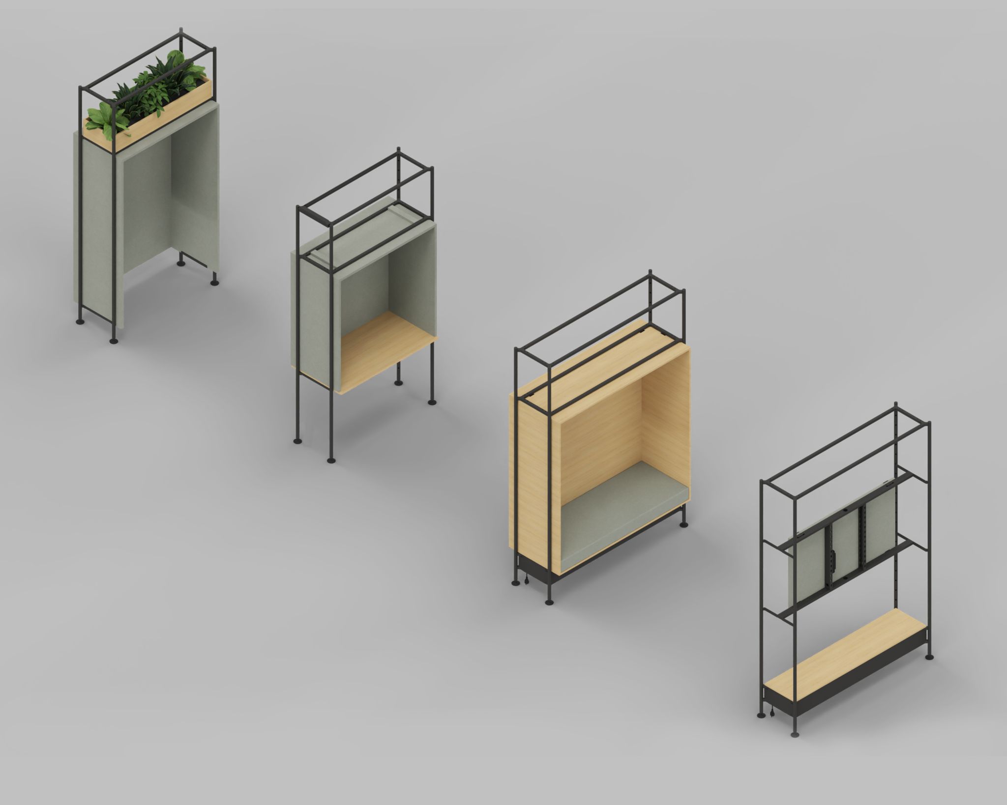 Organization